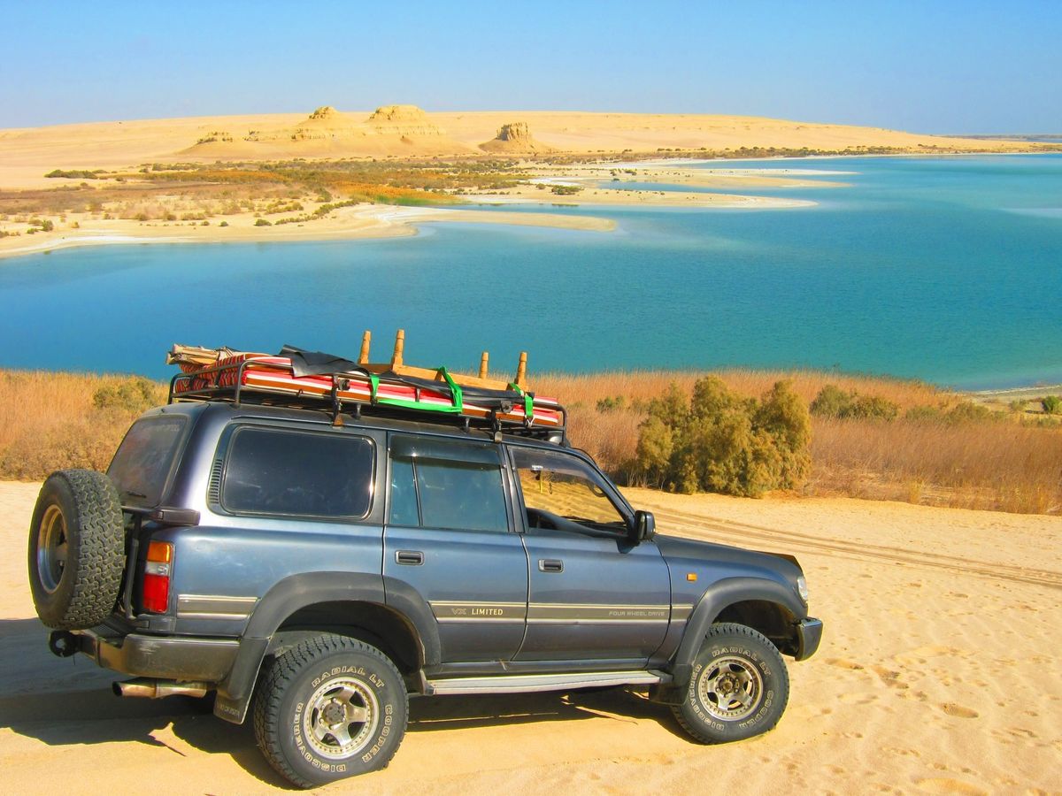 Fayum Excursion: Valley of the Whales (Wadi Al-Hitan), Wadi El Rayan, and Safari