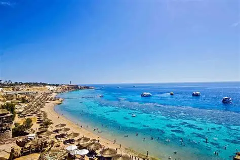 Cairo And Sharm El SHeikh